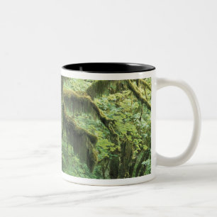 V.S., Washington, Olympic National Park. Tweekleurige Koffiemok