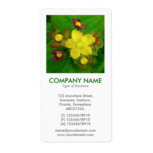 V Square Foto - Hypericum perforatum Etiket (Voorkant)