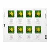 V Square Foto - Hypericum perforatum Etiket (Full Sheet)