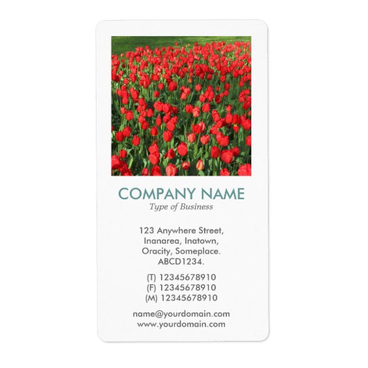 V Square Photo - Bed of Red Tulips 02 Etiket (Voorkant)