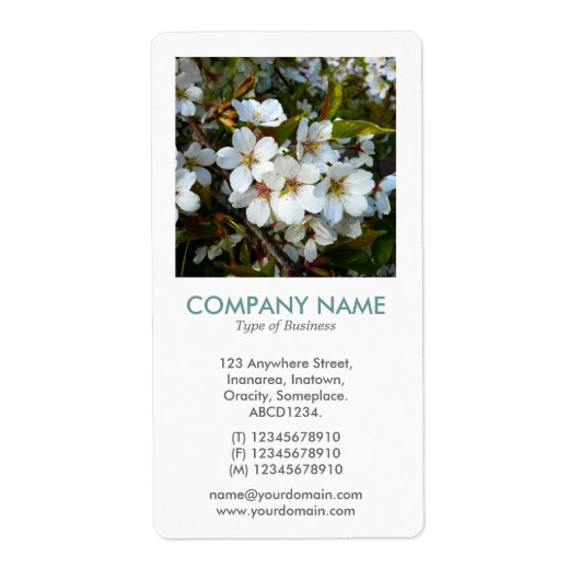 V Square Photo - Cherry Blossom Etiket (Voorkant)