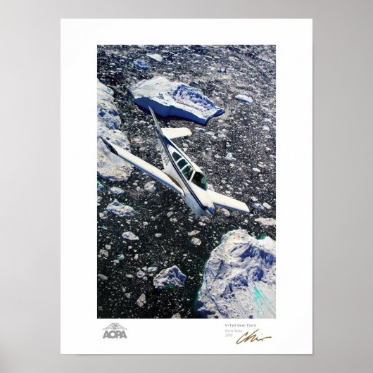 V-Tail over Fjord Galerij Poster (Voorkant)
