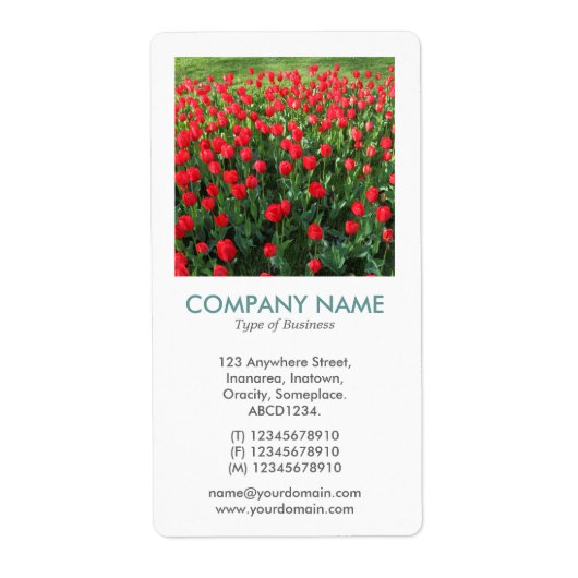 V Vierkante foto — Bed of Red Tulips Etiket (Voorkant)
