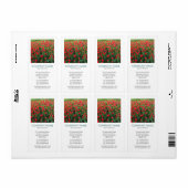 V Vierkante foto — Bed of Red Tulips Etiket (Full Sheet)