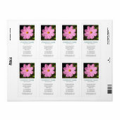 V Vierkante foto - Roze Kosmos Etiket (Full Sheet)