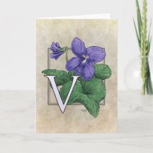 V voor het Monogram van de Bloem van Viooltjes