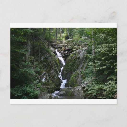 VA CRAB TREE HERFST BRIEFKAART (Voorkant)