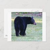 va zwart beer briefkaart (Voorkant / Achterkant)