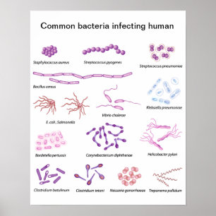 Vaak Bacteria Poster