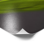 Vaak coqui, Eleutherodactylus coqui Foto Afdruk (Hoek)