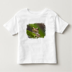 Vaak coqui, Eleutherodactylus coqui Kinder Shirts