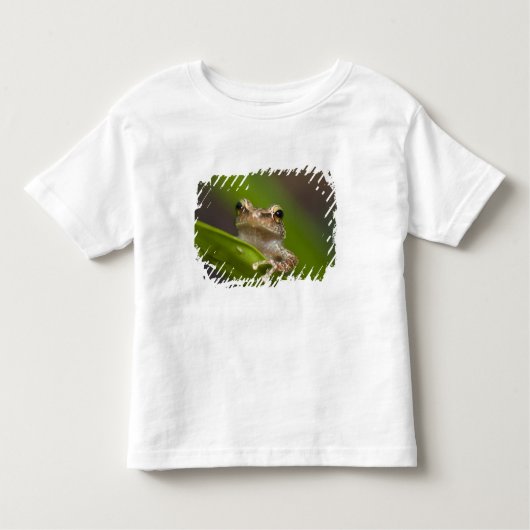 Vaak coqui, Eleutherodactylus coqui Kinder Shirts (Voorkant)