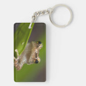 Vaak coqui, Eleutherodactylus coqui Sleutelhanger (achterkant)