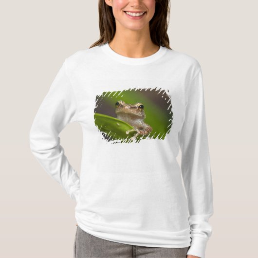 Vaak coqui, Eleutherodactylus coqui T-shirt (Voorkant)