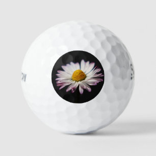 Vaak Daisy ssf gbcna Golfballen