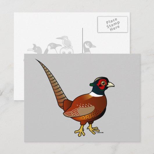 Vaak fazant briefkaart (Voorkant / Achterkant)