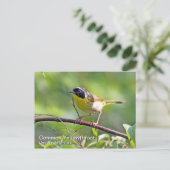 Vaak gele keelpijn Briefkaart (Staand voorkant)