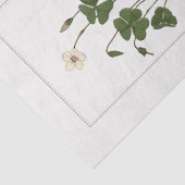 Vaak Houtsorrel (Oxalis acetosella) Tissuepapier (Detail)