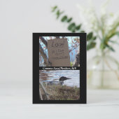 Vaak Loon Nesting Briefkaart (Staand voorkant)