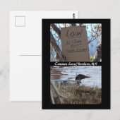 Vaak Loon Nesting Briefkaart (Voorkant / Achterkant)