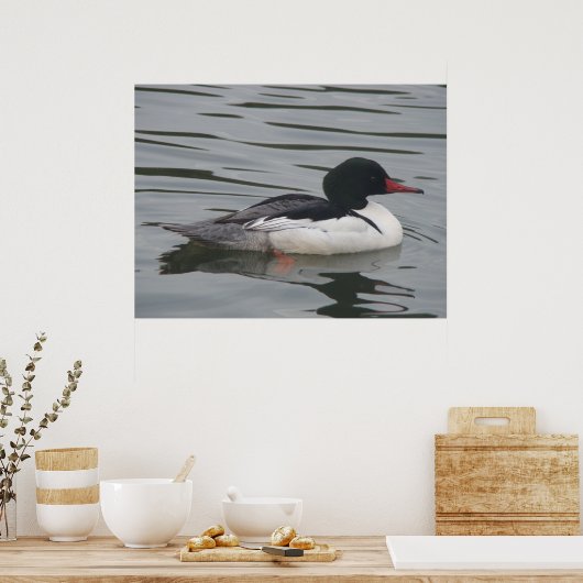 Vaak Merganser mannelijk Poster (Keuken)