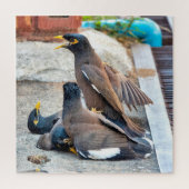 Vaak myna legpuzzel (Verticaal)
