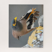 Vaak myna legpuzzel (Verticaal)