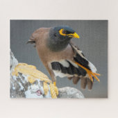 Vaak myna legpuzzel (Horizontaal)
