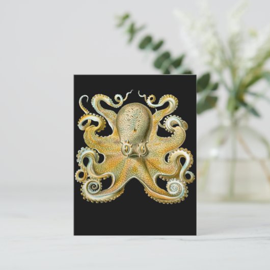 Vaak Octopus Briefkaart (Staand voorkant)