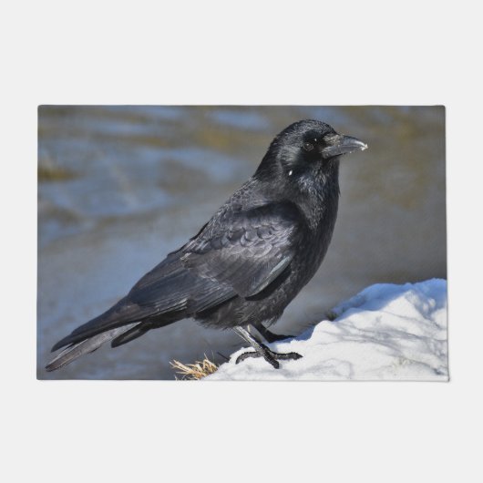 Vaak raven deurmat (Voorkant)