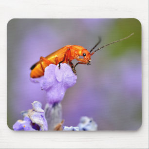 Vaak rode soldaat kever muismat