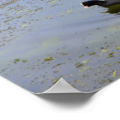 Vaak roetzwemmen op een bir van wilde dieren in ee poster (Hoek)