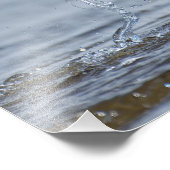 Vaak stern met een smeltvangst foto afdruk (Hoek)