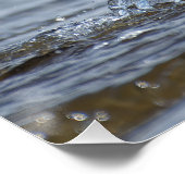 Vaak stern natuur foto poster (Hoek)