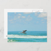 Vaak voorkomende wilde dolfijnen die in het Golfvl Briefkaart (Voorkant / Achterkant)