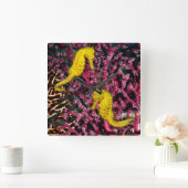 Vaak voorkomende Zee Paarden | Hippocampus Taeniop Vierkante Klok (Huis)