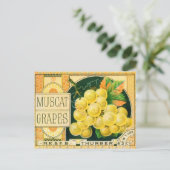  vaalkarbonadekunst, muskaatdruiven briefkaart (Staand voorkant)
