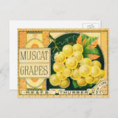  vaalkarbonadekunst, muskaatdruiven briefkaart (Voorkant / Achterkant)