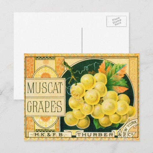 vaalkarbonadekunst, muskaatdruiven briefkaart (Voorkant / Achterkant)