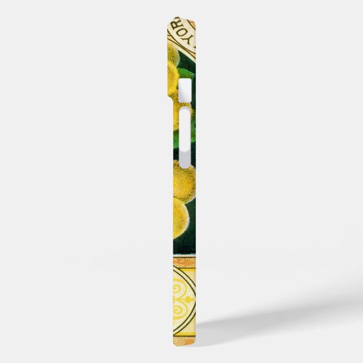  vaalkarbonadekunst, muskaatdruiven Case-Mate iPhone case (Achterkant / Links)