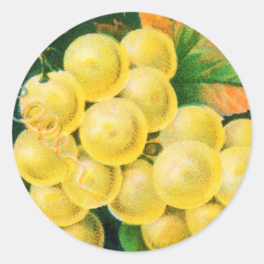  vaalkarbonadekunst, muskaatdruiven ronde sticker (Voorkant)