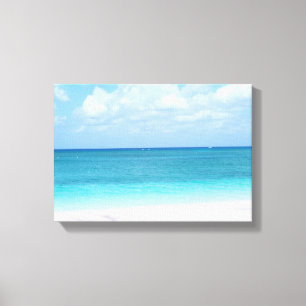 Vaardoek voor het Uitzicht van de Oostzee Canvas Afdruk