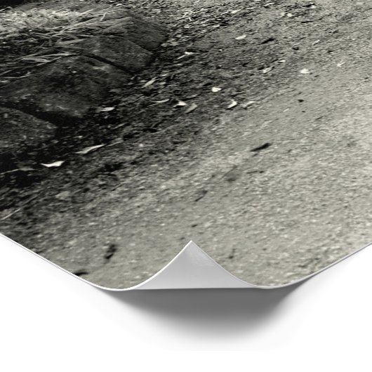 Vaarwel Elephant, tijger en Zebra Poster (Hoek)