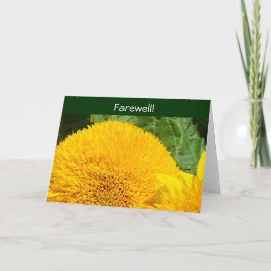 Vaarwel! Kaarten tot ziens, we zullen je missen! z (Voorkant)