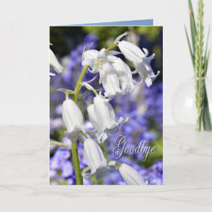 Vaarwel, sympathiekaart kaart