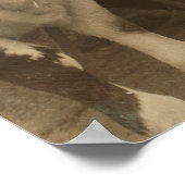 vaarzen poster (Hoek)