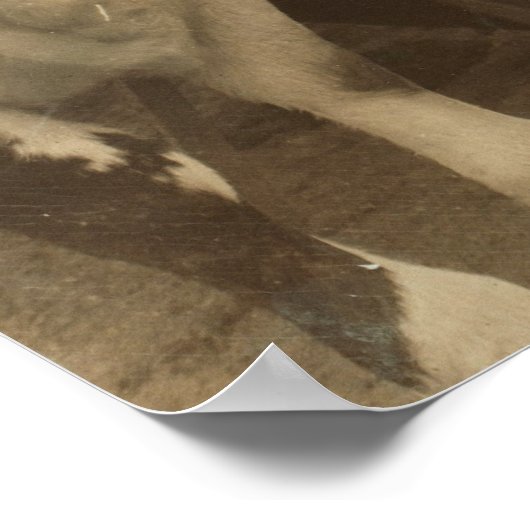 vaarzen poster (Hoek)