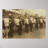 vaarzen poster (Voorkant)