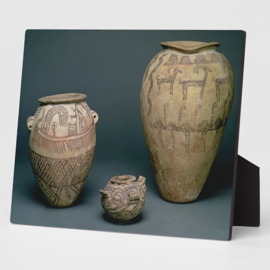 Vaas gedecoreerd met verschillende frites van dier fotoplaat (Zijkant)