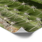 Vaatje Cactus I Woestijn Foto Poster (Hoek)